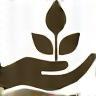 Icon representing growth and nurturing